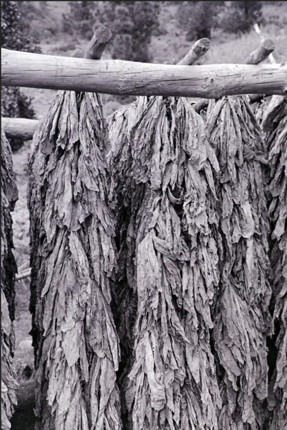 Excursión a La Caldera.